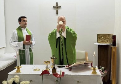 Il decorso procede bene - PapaNewsLink 15-16.10.2026